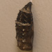 IMG 2843 Cocoon-2