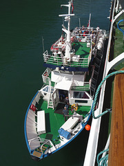 Excursion Boat Alongside MS Nordlys