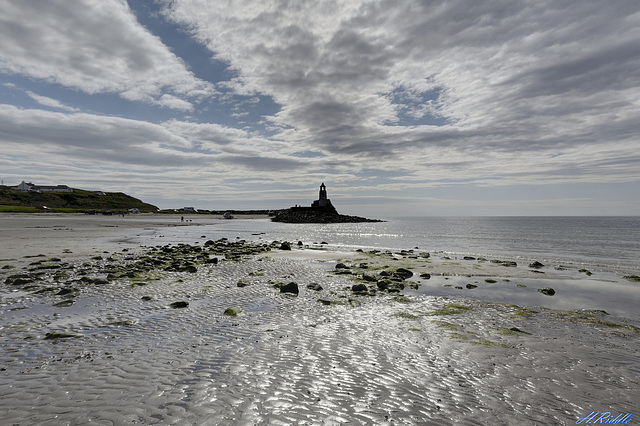 A first glance at Port Logan