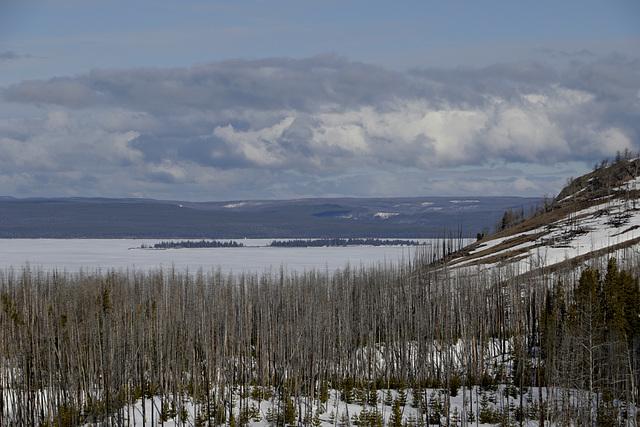 Yellowstone Lake