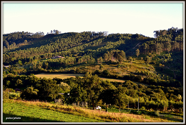 Algo de nuestro monte