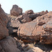 Namibia, Rock Carvings in the Twyfelfontein Valley