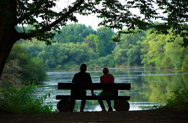 abends am Teich