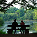 abends am Teich