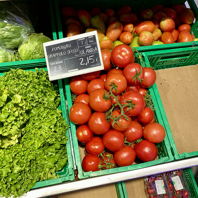 Verona 2021 – Dutch tomatoes