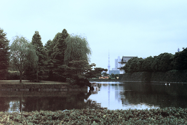 Imperial Palace Grounds (49 04)
