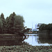 Imperial Palace Grounds (49 04)