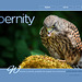 ipernity homepage with #1501