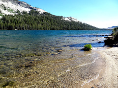 Parc de Yosemite