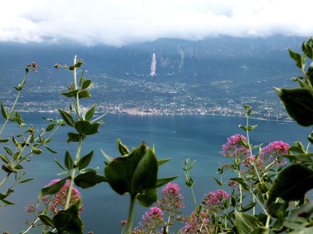 Blick nach Malcesine. ©UdoSm