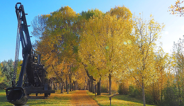 Ceal Tingley Park, Quesnel, BC