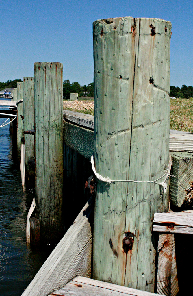 Broomes Island Pilings - Calvert County MD