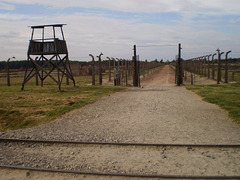 High-voltage fences.