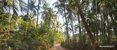 Nandgaon to Alibag road