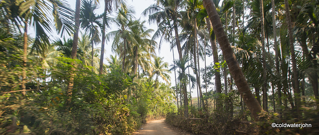 Nandgaon to Alibag road