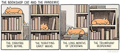 O&S(meme) - cat in books
