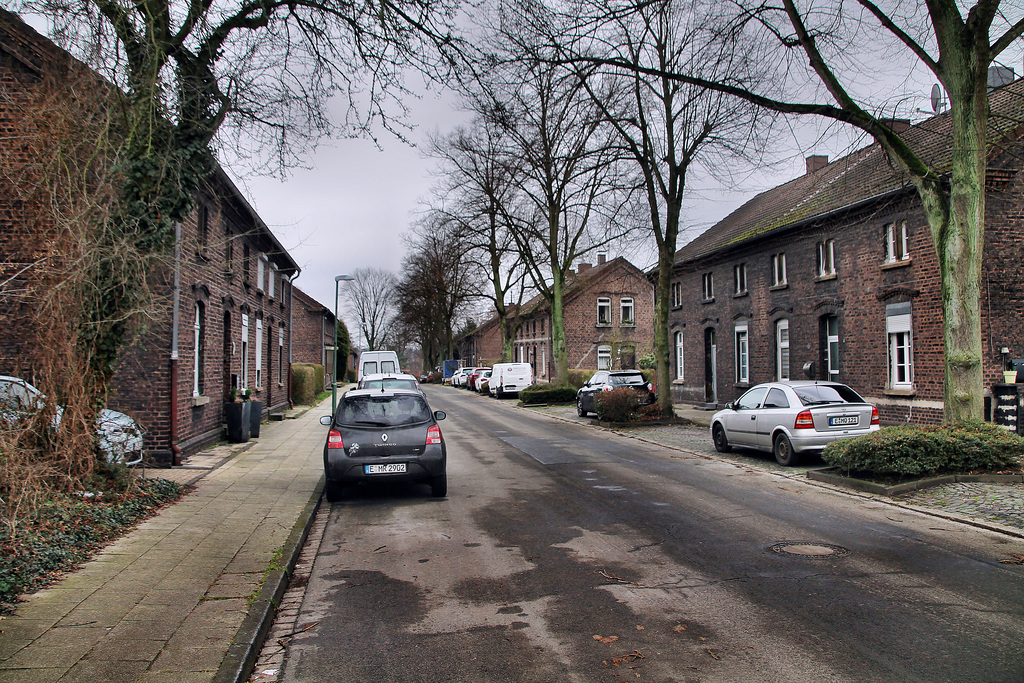 Schlägelstraße (Essen-Katernberg) / 21.01.2023