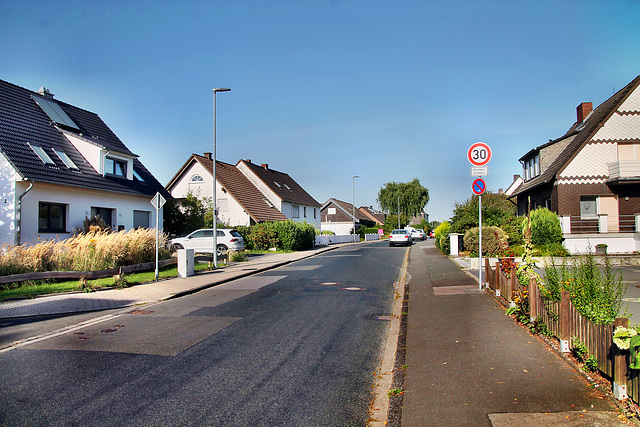 Am Winkelstück (Schwerte-Villigst) / 9.09.2023