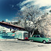 The Jonquil Motel