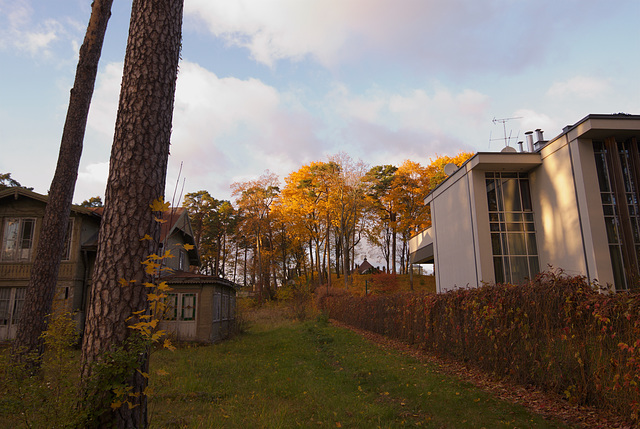 Der Herbst in Jūrmala