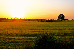 Gnosall sunset