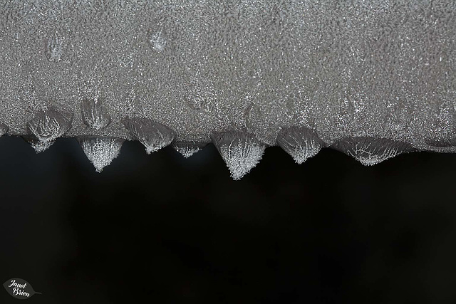 Pictures for Pam, Day 135: Frosty Droplets