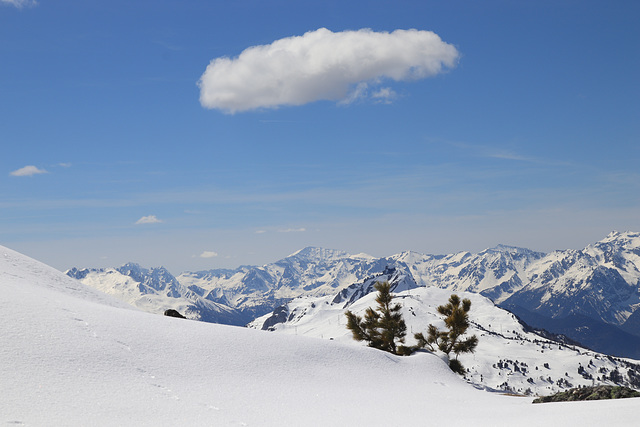 sous mon petit nuage :)