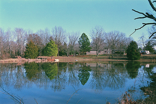 Country Living