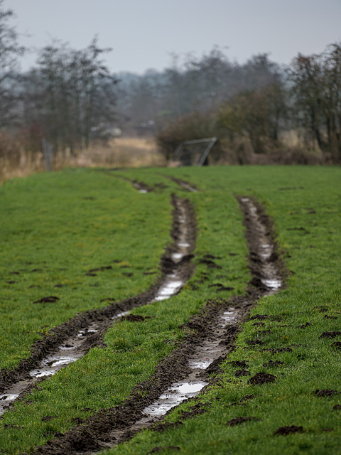 Mud race