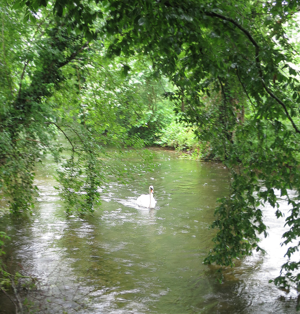 The Itchen Navigation