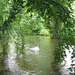 The Itchen Navigation