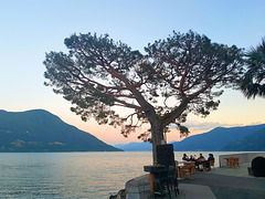 Neulich abends in Brissago. Neulich abends in Brissago.
