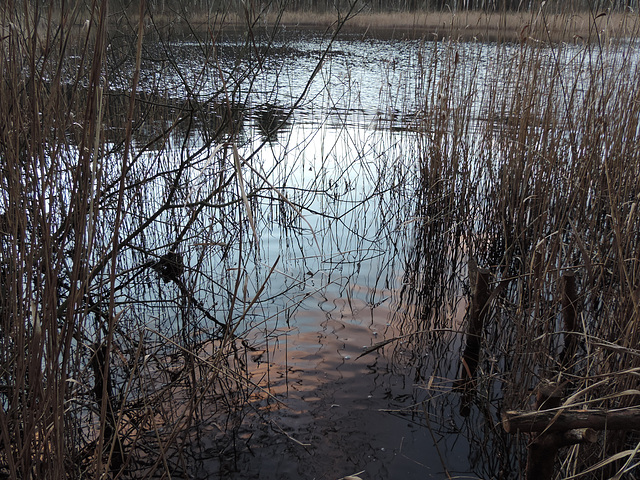 Fauler See in Sperenberg