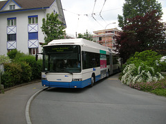 DSCN2102 VBL (Luzern) 232 at Obernau  - 14 Jun 2008