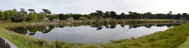 pano étang Porquerolles