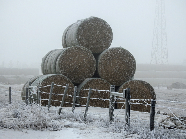 A pyramid of hay bales
