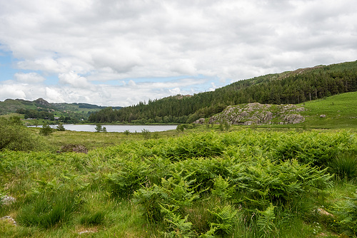 Llyn Mymbyr