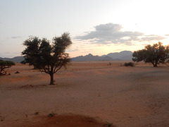 desertscape