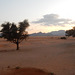 desertscape