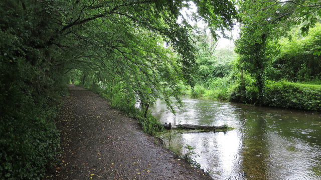 The Itchen Navigation