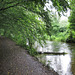 The Itchen Navigation