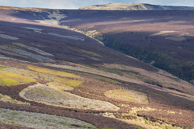 Hollingworth Clough to Kinder Scout