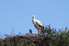 parc des oiseaux Villars les Dombes