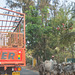 Nandgaon to Alibag road - bullock carts aplenty!