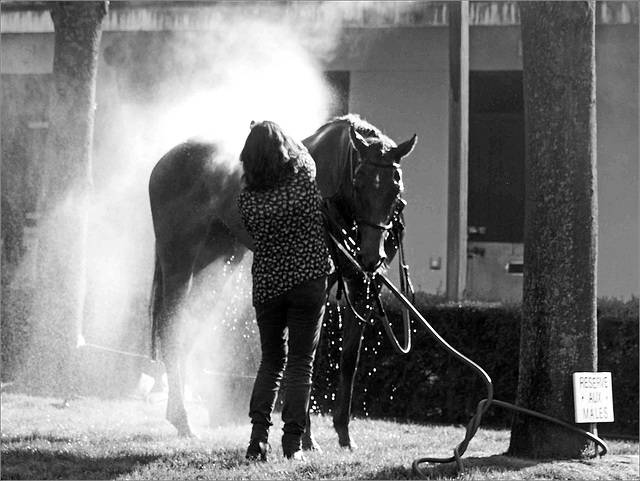 Après la course, la douche 1