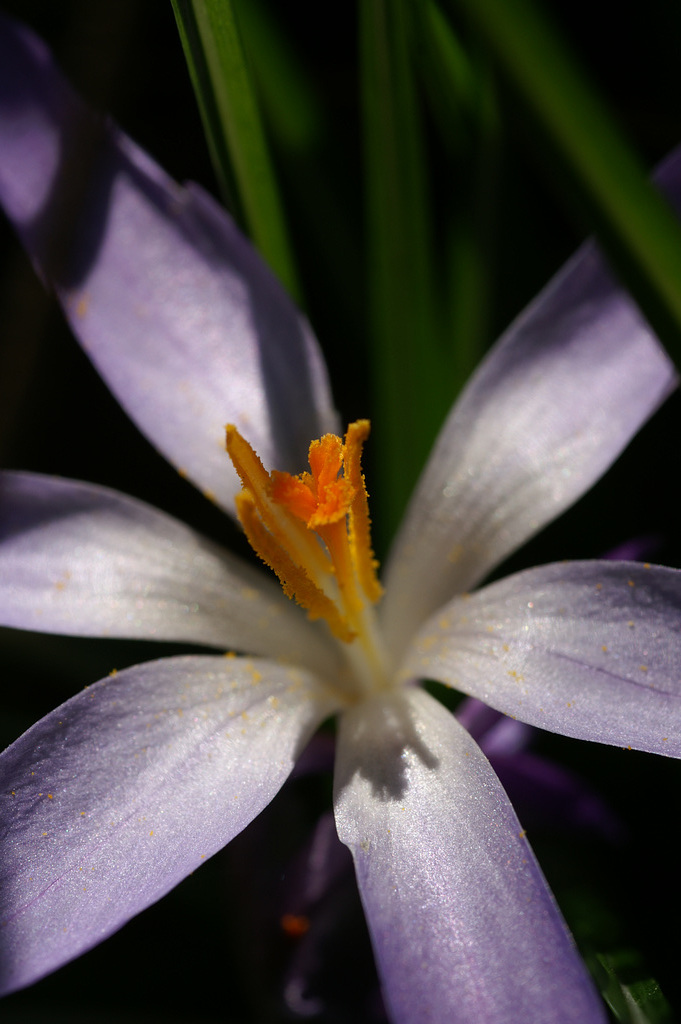 PICT0108