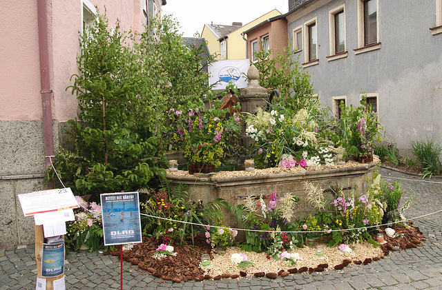 Brunnenfest 2019