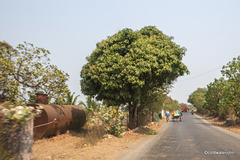 Nandgaon to Alibag road