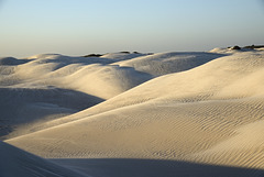 #9 - Steve Paxton - Dunes - 10 ̊ 2.5v
