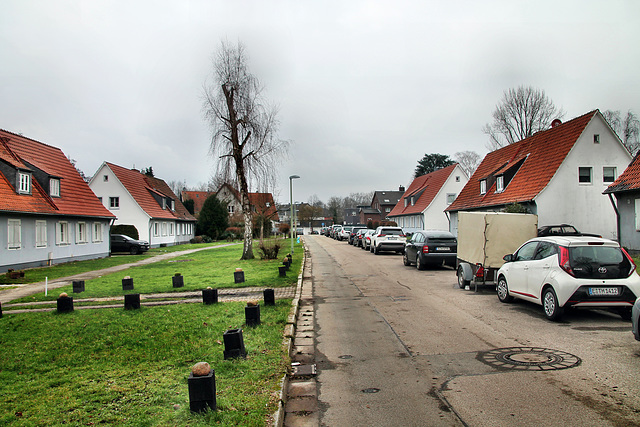 Pestalozziweg (Essen-Katernberg) / 21.01.2023